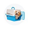 https://www.buyon.pk/image/cache/catalog/category-thumb/pets-accessories-100x100.png