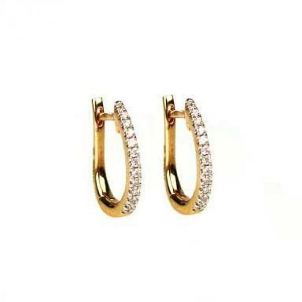 1k Gold Plated Zircon D Earrings