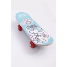 Wooden Skate Board For Kids