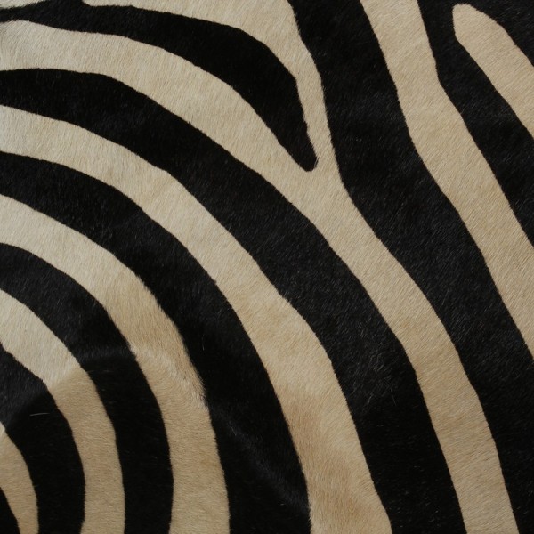 New Designer Brown Zebra Print Cowhide Rugs Buyon.pk