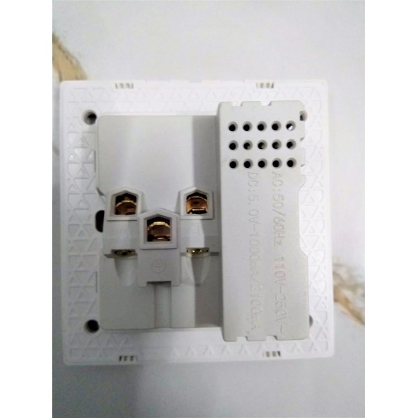 Light Plug Socket with Two Usb charging ports Buyon.pk