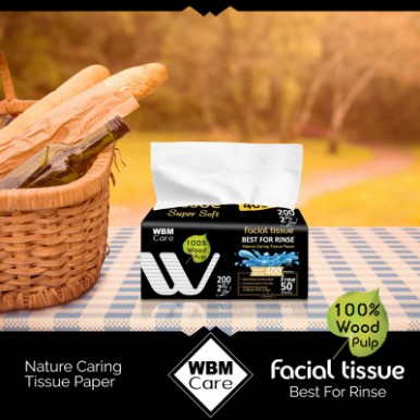 WBM Care Super Soft 2 Ply Facial Tissue - Medium sized Recyclable Tissues