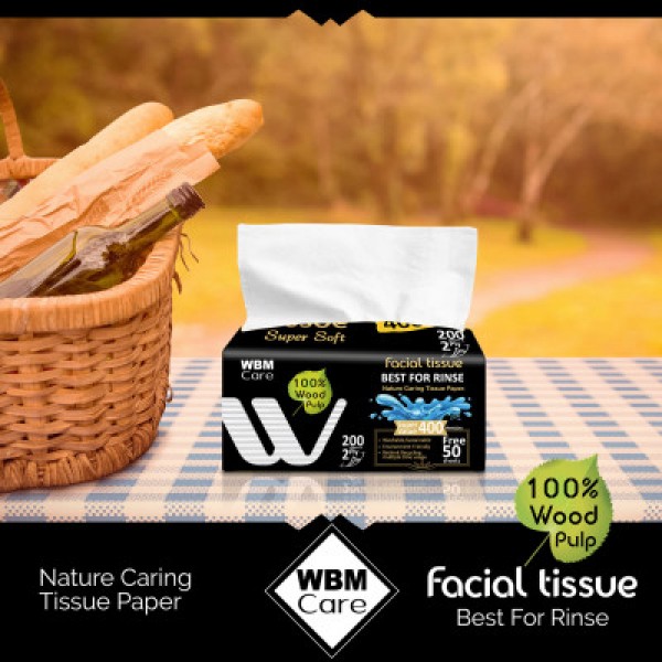 Buy WBM Care Super Soft 2 Ply Facial Tissue Medium sized Recyclable