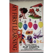 Flip Chart a teaching guide with reproducible worksheets