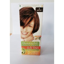 GARNIER Color Naturals Shade 6