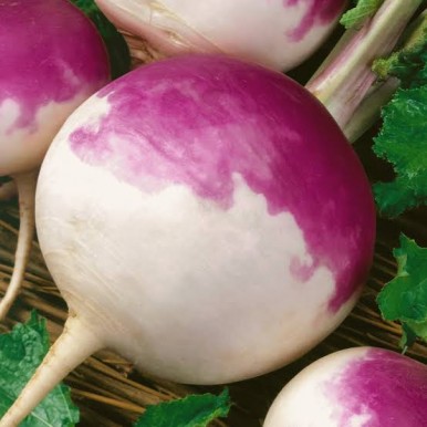 Turnip Seeds - 1 packet with 50 seeds