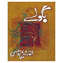 Bagoolay by Ahmad Nadeem Qasmi