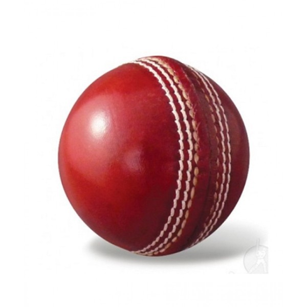 Cricket Hard Ball Red