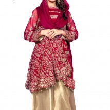 Women Designer Bridal Dress in Red and Gold