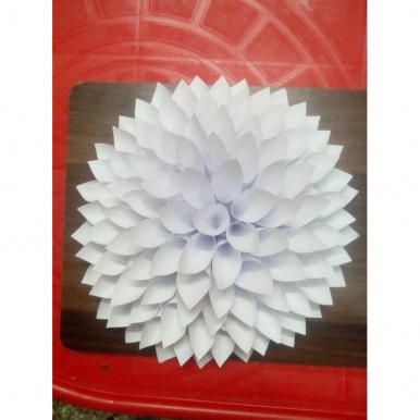 Paper flowers for  room decoration