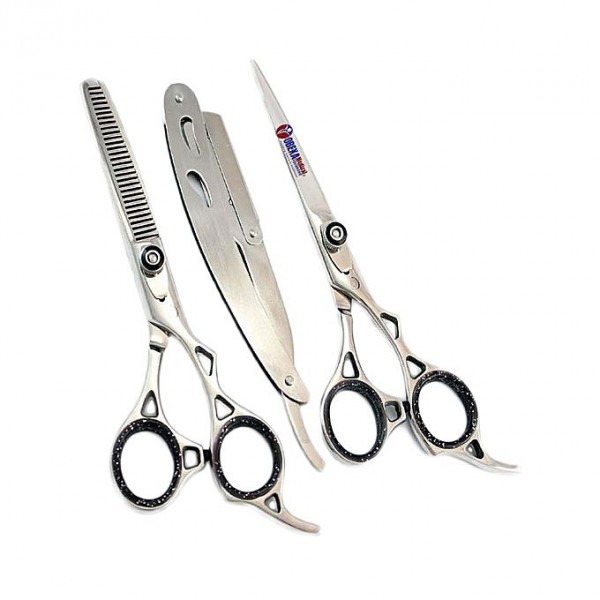 Professional Hairdressing Scissors - Silver
