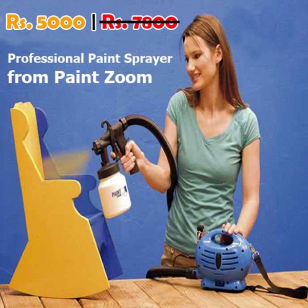 Professional Paint Sprayer from Paint Zoom Paint with Perfection and