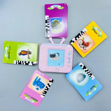 Educational Words English and Urdu learning Hello Kitty TV for kids - 109 Flash Cards Early Education Device - Assorted Color