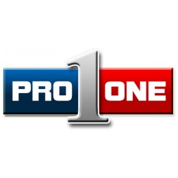 Pro One Industries