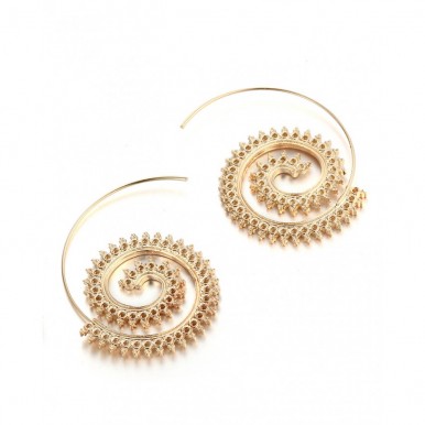 Gold Stylish Hoop Earring – AE18