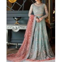 Light Colour Full heavy net embroidery Frock style dress