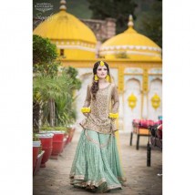 Bridal net embroidery Dress