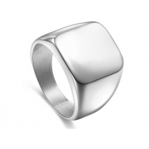 Titanium Signet Silver Ring