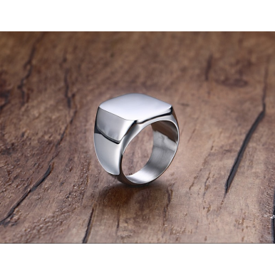 Titanium Signet Silver Ring