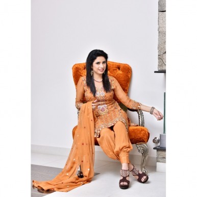 Chiffon pure  Embroidered Suit